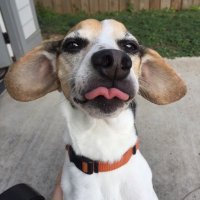 Colby Wilson (@cwilson225) 's Twitter Profile Photo