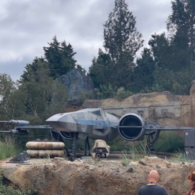 DerekJeong's profile picture. 