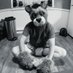 LionCubColin (@lioncubcolin) Twitter profile photo LionCubColin (@lioncubcolin) Twitter profile photo