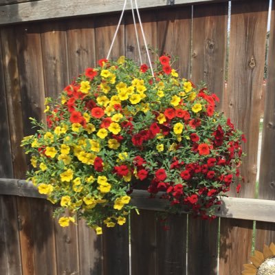 4est7's profile picture. 