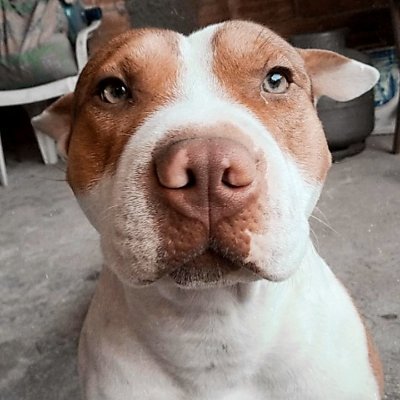 nomarmsn's profile picture. Data Analyst