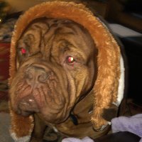 M. C. is ✨AGENTED✨ (@2theimp) 's Twitter Profile
