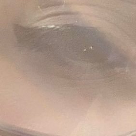 flanelfisherman's profile picture. sid the sloth kinnie 
they/them