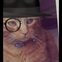 Jaks (@toastywitdamost) 's Twitter Profile