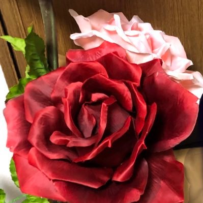 hk_trhk2's profile picture. 取引専用垢。25↑の成人済★あんスタ→ValkyrieP ★NieR→ニーア、魔王、9S、21O ★鬼滅→猗窩座、狛治、天元、獪岳 ★種→カガリ、アスラン ★ヴィジュプリ→ディミトリ、ハイド★東リベ→乾、九井★恋と深空→箱推し。絵柄によっては他キャラも。詳しくは→https://t.co/2fCrdJf3Ta