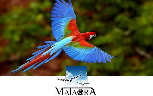 highwaymankr's profile picture. 자연주의자!!~~