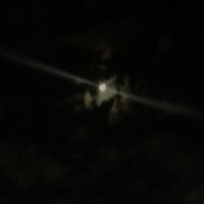 timetogohome6's profile picture. 🌈