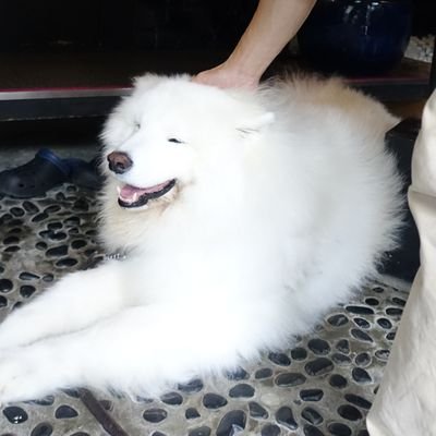 救える命がある。必要としている人の情報拡散を行っています。
フォロバして頂けると嬉しいです(◡ ω ◡)
