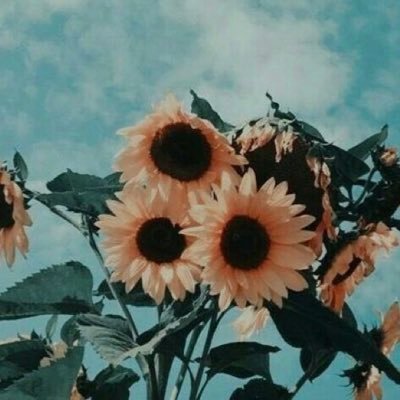 brynnwoodman1's profile picture. :)