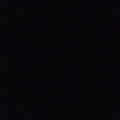 thelosingbattle's profile picture. Native floridian, 2A supporter