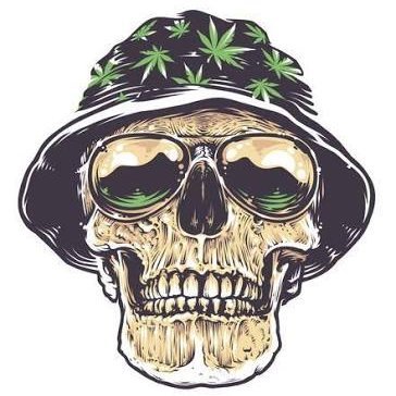 dreaddebone's profile picture. Estamos aí na atividade.