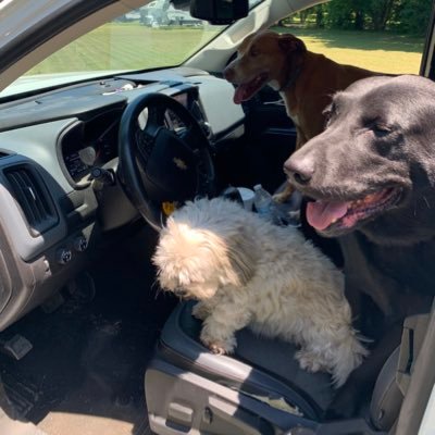 Cubs fan (#ThatsCub #HolyCow), Real-estate mogul , #art enthusiast (seriously!), dog person (not literally half-dog/half-man) livin' for the lake.