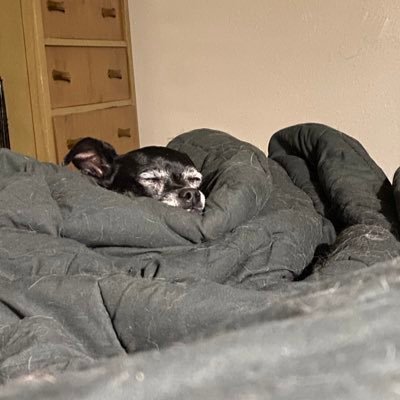 j2phenom's profile picture. Trail Runner, Animal lover 🐕🐈