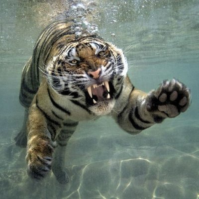 Monster27xx's profile picture. 