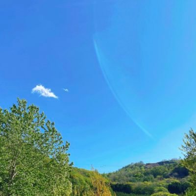 アラレ(๑°⌓°๑)さんのプロフィール画像