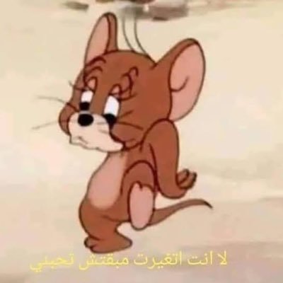 nakshw2alash's profile picture. 