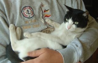 bWCOcH3fZjLNWsR's profile picture. 東京→佐世保・SASEBO