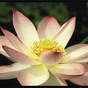 Christine Jacobs - @CYJacobs - Twitter