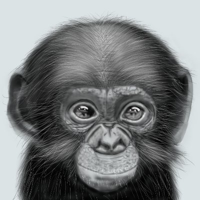 I am a realist and an educator of human evolution