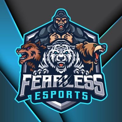 We are a PS4 esports team competing in
FLC Division 1&
VPG Scottish Premiership