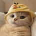 Fatbaby (@beautyinworld5) Twitter profile photo Fatbaby (@beautyinworld5) Twitter profile photo