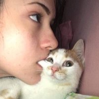 Luajain Talal | لجين (@lujainnn_t) 's Twitter Profile