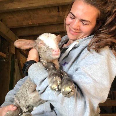 🇬🇧 Biomed graduate turned 🇳🇿 sheep milker & lamb rearer 🐑 👩🏻‍🌾🚴🏻‍♀️🌿(She’s called Lily, and she’s now one of over 1500 ewes we milked this year)