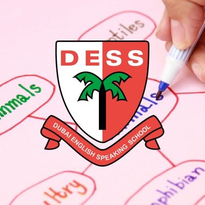 DESS Inclusion Profile