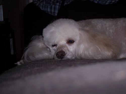 urbanhermit88's profile picture. lover of craft beer and life on earth