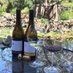 La Rochelle Winery (@larochellewine) Twitter profile photo La Rochelle Winery (@larochellewine) Twitter profile photo