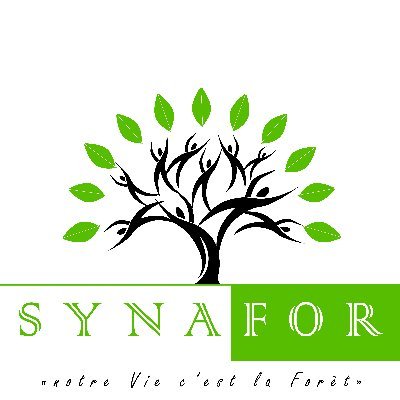 synafor's profile picture. Agroforesterie au cœur du développement durable en Côte d'ivoire pour Renforcer les Capacités- Sauvegarder la Forêt-Préserver et valoriser la Biodiversité.