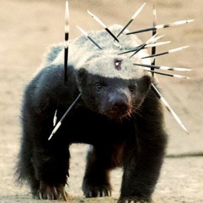 Antscient's profile picture. Jokes etc. Take yourself seriously.