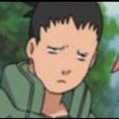 MindStable's profile picture. 