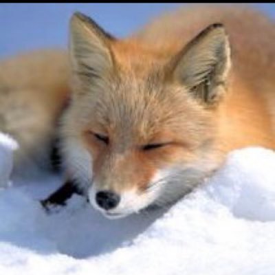 fu〜さんのプロフィール画像