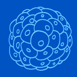 Cells MDPI Profile