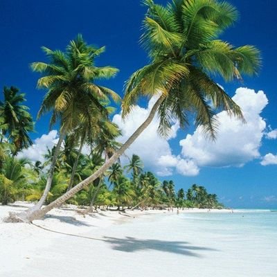 preciousudeze7's profile picture. 