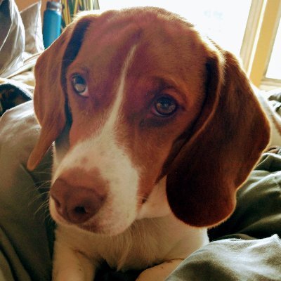 Marsquare's profile picture. 