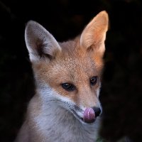 Beverley Thain (@beverleythain) Twitter profile photo