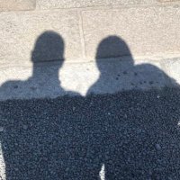 さちとそのダンナ (@bumblebee_sws) 's Twitter Profile