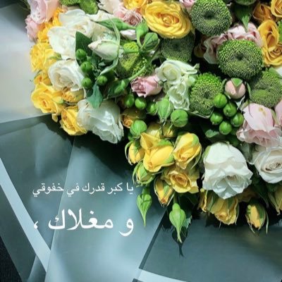 شيّخـہ۶ـربٌ وإنتّ مشيّخنيّ غــلآ ..♥̸̨