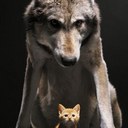 Beth Carson - @BAC6254 - Twitter