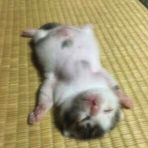 nanami___x's profile picture. 老健介護職→支援相談員。ちょっとだけ施設ケアマネ。日々の仕事や思うこと。たぶん潮時。社会福祉士/介護福祉士/介護支援専門員