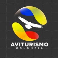 Aviturismo Colombia (@aviturismocol) 's Twitter Profile