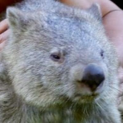 ot_moroz_ko's profile picture. усеагульгая млявасць i абыякавасць да жыцця