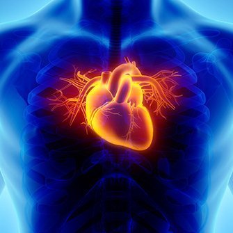 University of Glasgow Heart Failure Research Group Profile