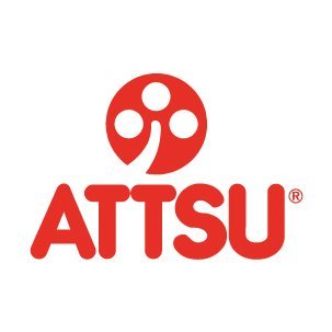 ATTSU is leader manufacturer of industrial steam boilers, thermal oil boilers and superheated water boilers. Available on a wide variety of fuels.