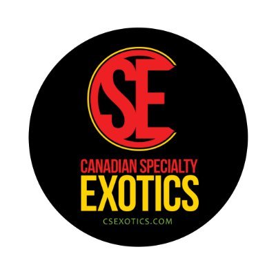 CdnSpecXotics's profile picture. https://t.co/w6sZF5KGBI