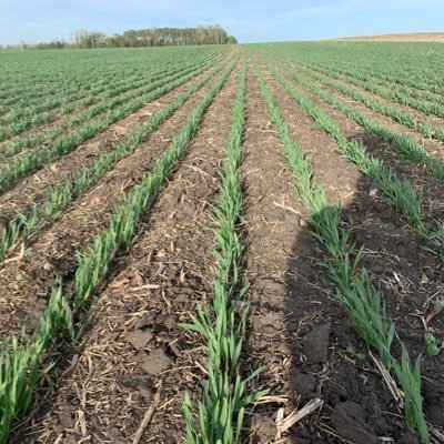 Primary Producer, U of S Agro Grad x 2, former CCA and https://t.co/sQKguQgSZU, Husband, and Dad of 2. Don’t be afraid to challenge the status quo. Love to farm.