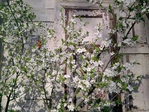 Nauris55's profile picture. Creative free thinker.Like answer questions that shape and inspire me.Action in inspiration.