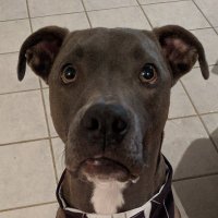 Simon Bennett (@aoe_bump) 's Twitter Profile